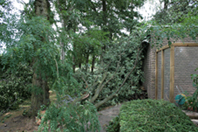 Oktober 2010 6